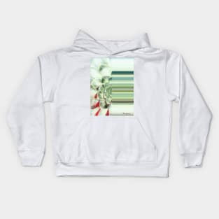 Echeveria Colour Pallet Kids Hoodie